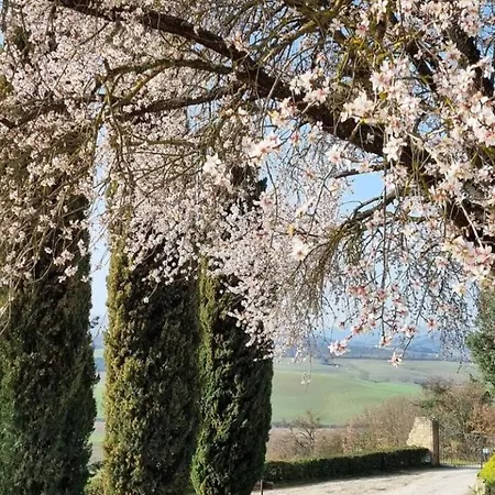 Relais Castelbigozzi * Monteriggioni
